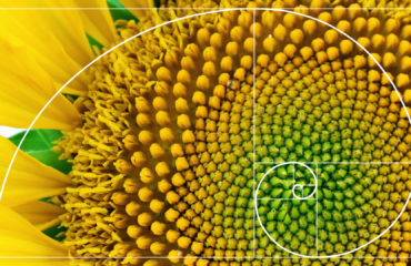 Fibonacii złoty podział