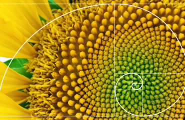 fibonacci Fibonacii złoty podział